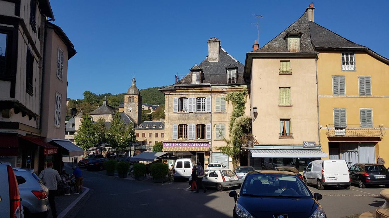 Chateau Ricard Saint-Geniez-dʼOlt Exterior foto